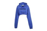 Essentials Oversized Cropped Hoodie